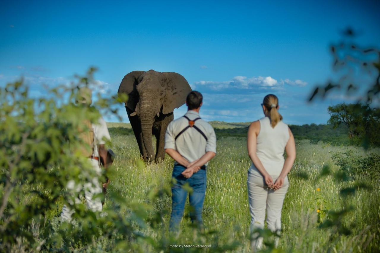 Anderssons At Ongava Villa Okaukuejo Eksteriør billede